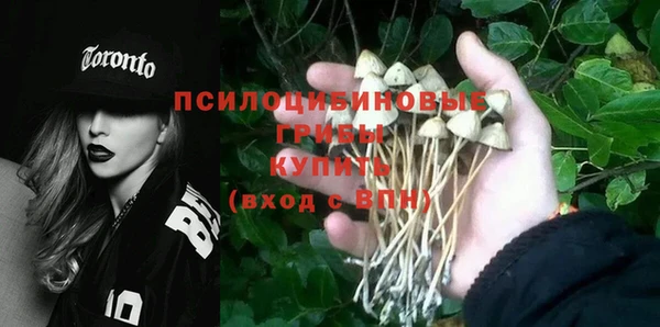 герыч Новозыбков