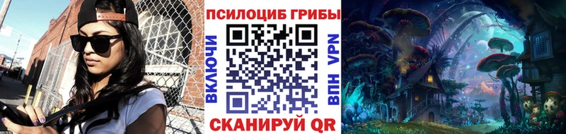 где можно купить наркотик  Кедровый  blacksprut зеркало  Галлюциногенные грибы мухоморы 